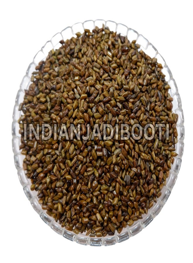 IndianJadiBooti Puwar Seeds (Cassia Tora) | Chakramarda Beej | Panwar | Natural Ayurvedic Herb for Skin Wellness & Detox | Whole Dried Seeds | 250 Grams - Image 2